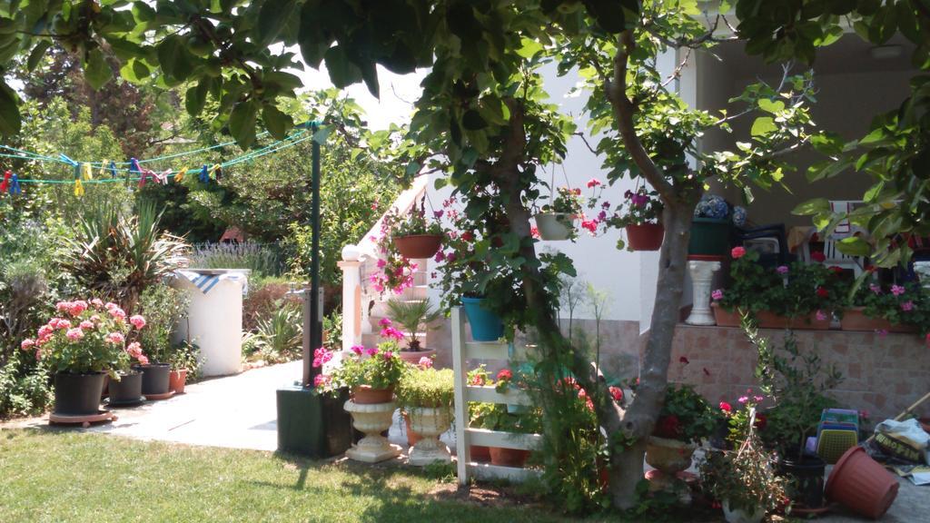 Apartments Romantica Sabunike Privlaka  Exterior photo
